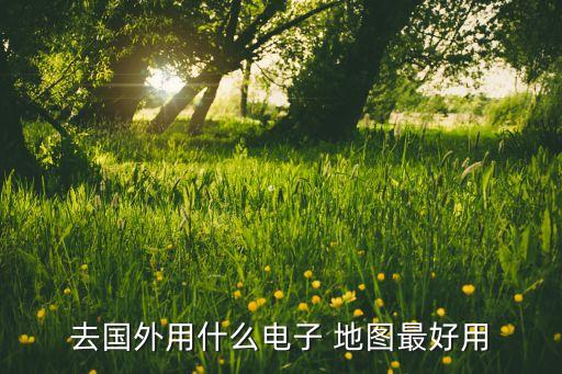去国外用什么电子 地图最好用
