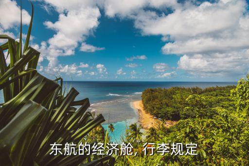 东航的经济舱, 行李规定