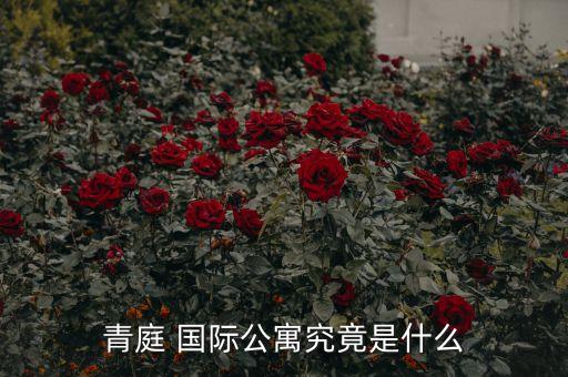 青庭 国际公寓究竟是什么