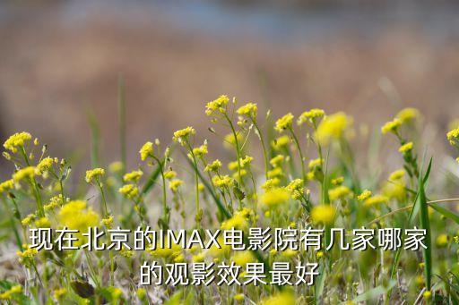 现在北京的IMAX电影院有几家哪家的观影效果最好