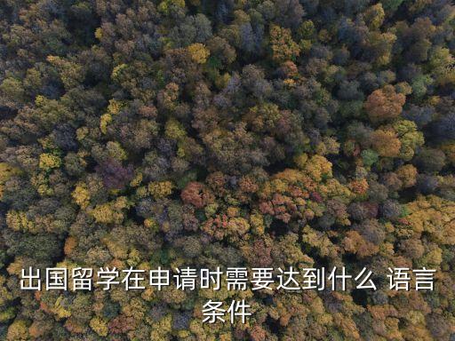 出国留学在申请时需要达到什么 语言条件