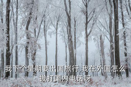 我下个星期要出国旅行,我在外国怎么拔打国内电话呀