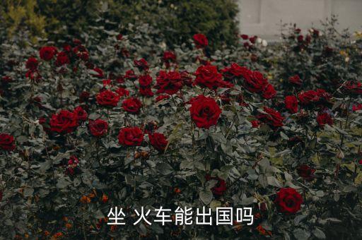 坐 火车能出国吗