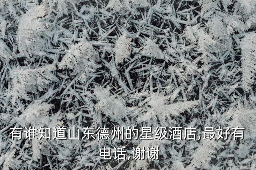 有谁知道山东德州的星级酒店,最好有 电话,谢谢