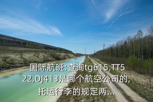  国际航班:查询tg615,TT522,DJ413是哪个航空公司的,托运行李的规定两...