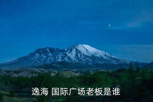逸海 国际广场老板是谁