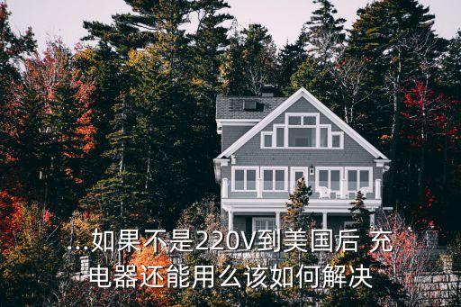 ...如果不是220V到美国后 充电器还能用么该如何解决