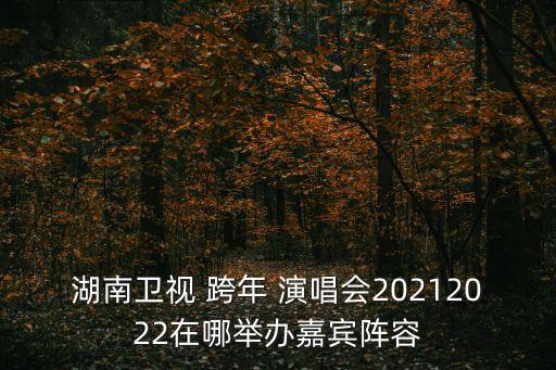 湖南卫视 跨年 演唱会20212022在哪举办嘉宾阵容
