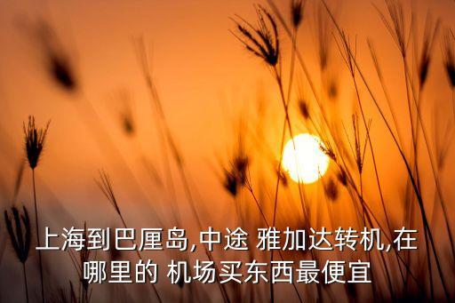 上海到巴厘岛,中途 雅加达转机,在哪里的 机场买东西最便宜