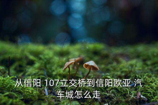从信阳 107立交桥到信阳欧亚 汽车城怎么走