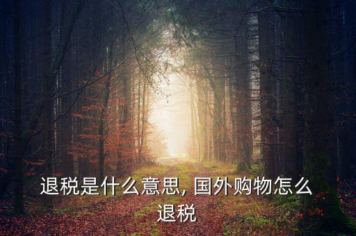  退税是什么意思, 国外购物怎么 退税