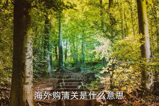 海外购清关是什么意思