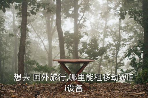 去国外旅游上网怎么办,国外旅游去哪个国家好