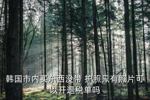 国外购物需要护照吗