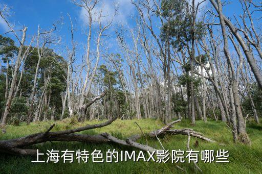 星美国际影城华强,平顶山星美国际影城