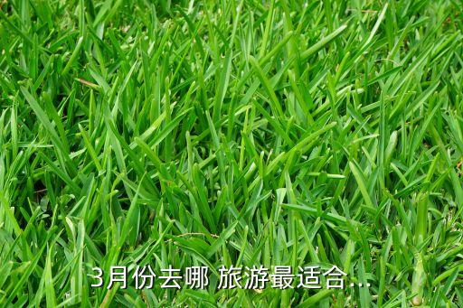 3月份去哪 旅游最适合...