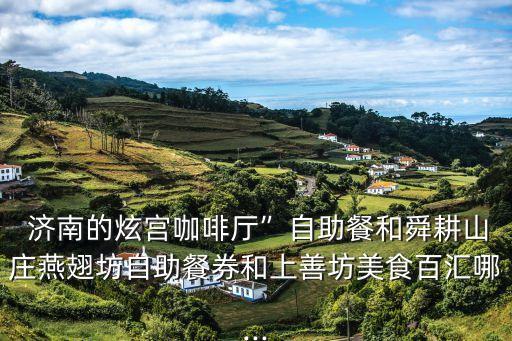  济南的炫宫咖啡厅”自助餐和舜耕山庄燕翅坊自助餐券和上善坊美食百汇哪...