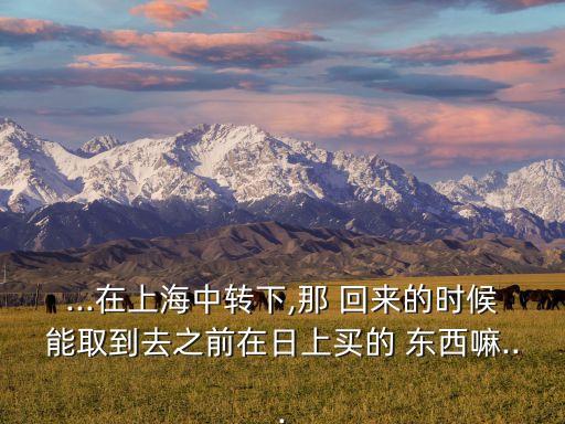 从国外回来可以在日上买东西吗