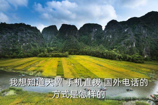 电信打国外手机怎么打,电信手机在国外无服务怎么办