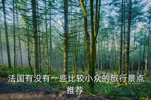  法国有没有一些比较小众的旅行景点推荐