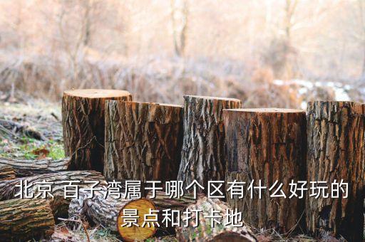 朝阳百子湾大成国际,朝阳大成国际温泉酒店