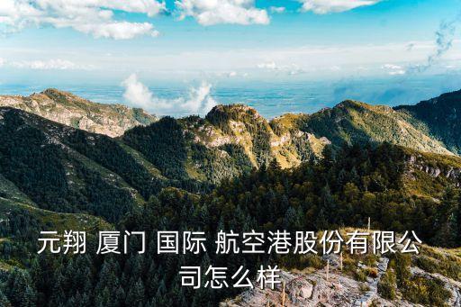 元翔 厦门 国际 航空港股份有限公司怎么样