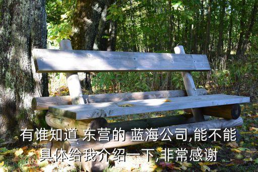 有谁知道 东营的 蓝海公司,能不能具体给我介绍一下,非常感谢