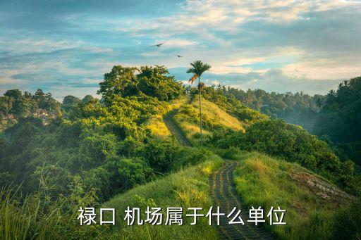  禄口 机场属于什么单位