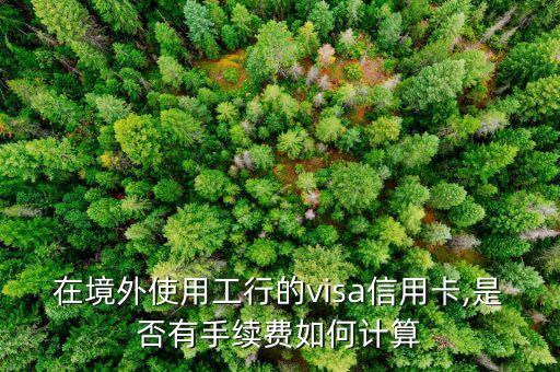 在境外使用工行的visa信用卡,是否有手续费如何计算
