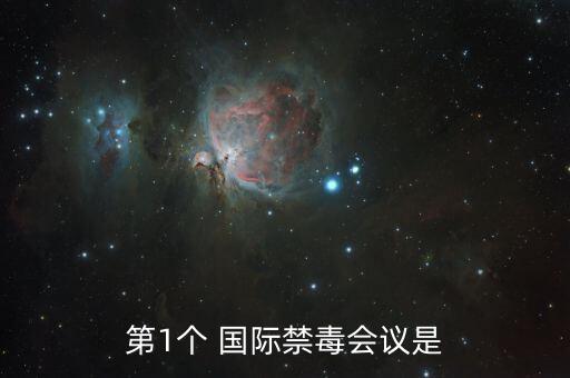 第1个 国际禁毒会议是