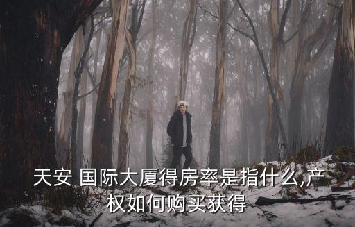  天安 国际大厦得房率是指什么,产权如何购买获得