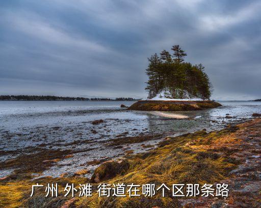 广州 外滩 街道在哪个区那条路