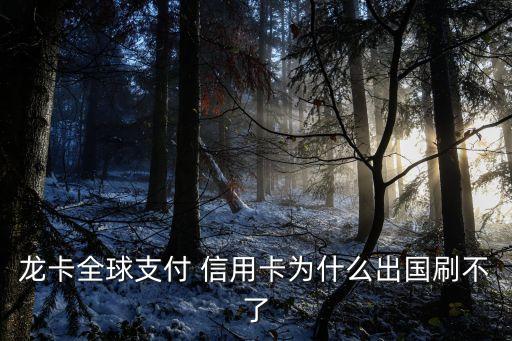 龙卡全球支付 信用卡为什么出国刷不了