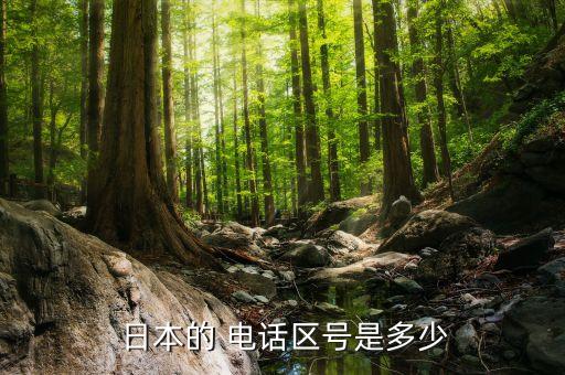 日本免费国际电话,日本打中国国际电话怎么打