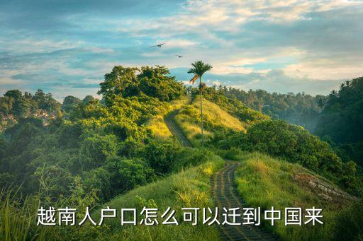 国外怎么移民中国,移民钱怎么带到国外