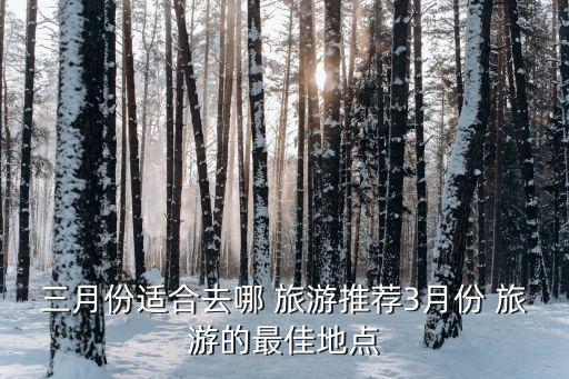 公司国外3月旅游去哪里,过年旅游去哪里比较好国外