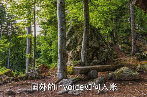  国外的invoice如何入账