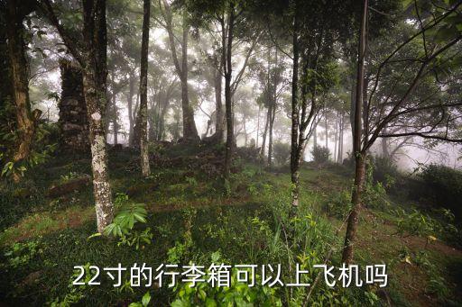 国际航线 20寸,成都直飞国际航线汇总
