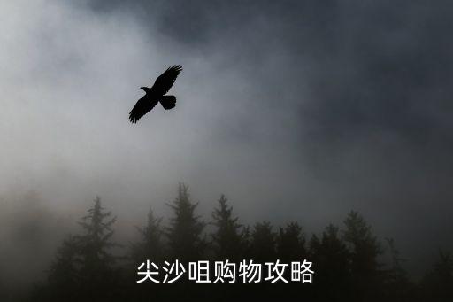烟台国际海运大厦,烟台海运大厦为什么废弃了