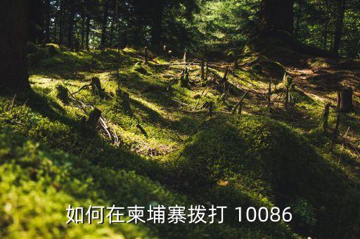 如何在柬埔寨拨打 10086