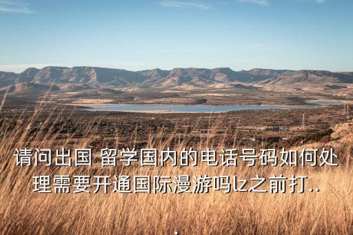 请问出国 留学国内的电话号码如何处理需要开通国际漫游吗lz之前打...
