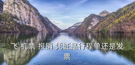 飞 机票 报销 凭证是行程单还是发票