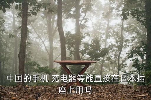 去国外充电器还能用吗