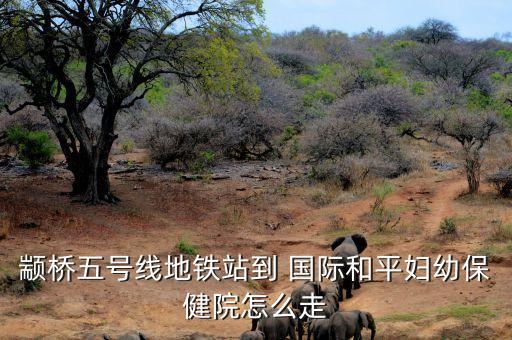 颛桥五号线地铁站到 国际和平妇幼保健院怎么走