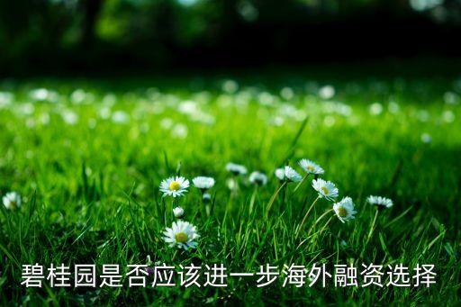 碧桂园是否应该进一步海外融资选择
