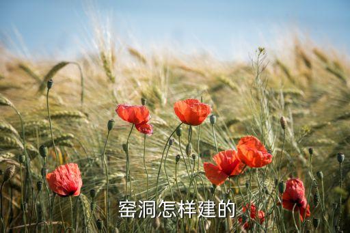  窑洞怎样建的