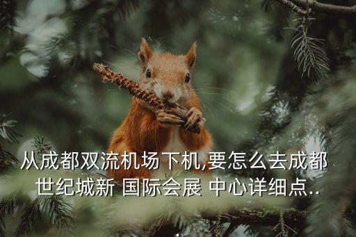 去世纪国际中心怎么走,石家庄世纪国际中心