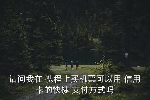 请问我在 携程上买机票可以用 信用卡的快捷 支付方式吗