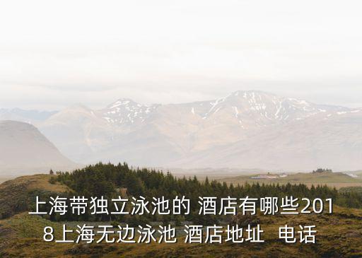 上海带独立泳池的 酒店有哪些2018上海无边泳池 酒店地址  电话