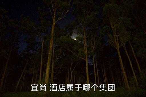 宜尚 酒店属于哪个集团